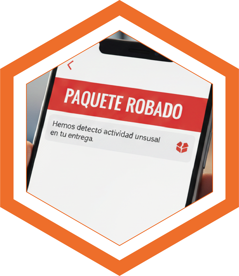 Paquetes Robados
